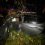 Минувшей ночью произошло смертельное ДТП в посёлке Лисино-Корпус под Тосно.
 
Там женщина за рулем..