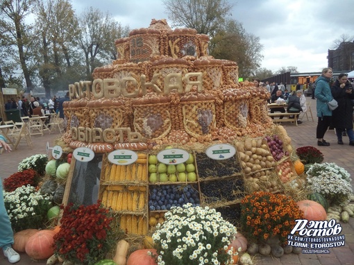 🌾 День донского урожая в парке..