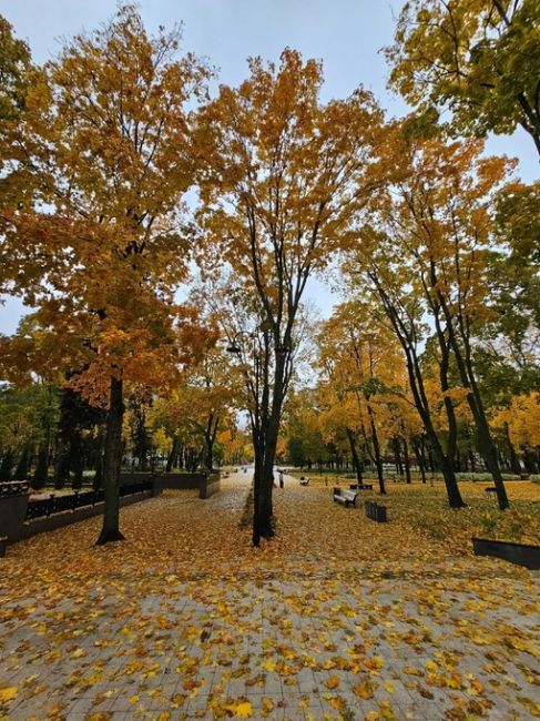 Все ещё золотая осень в парке Орленок...