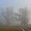 Утро туманное в Тарасовском районе..