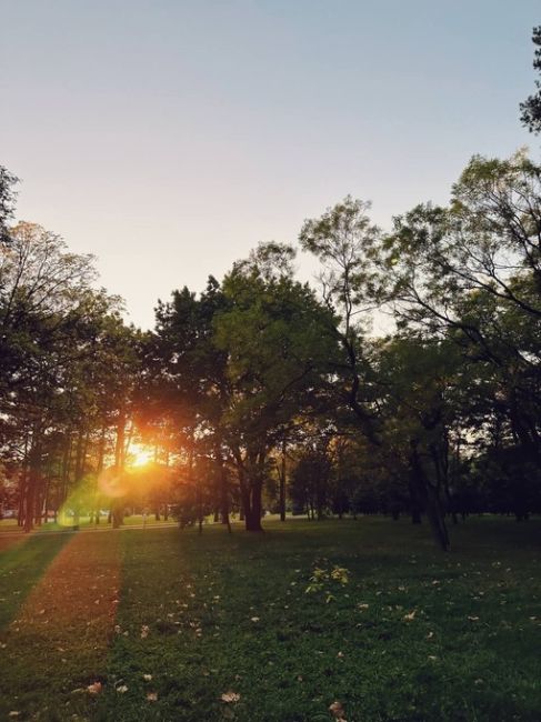 Нежная осень на Солнечном острове 🍂

от подписчицы..