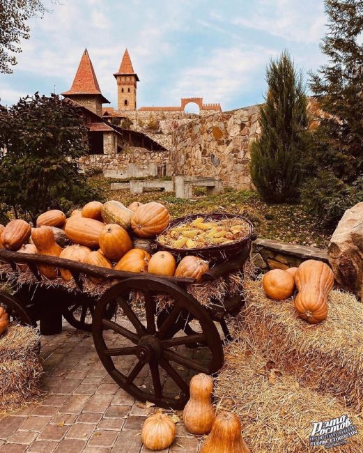 Моменты ocени в парке Лога под Каменском..