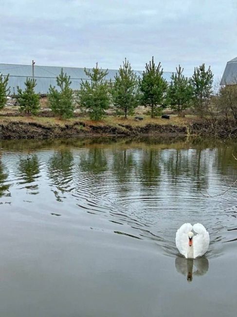 💙Только посмотрите на этих красавцев из Троицкого скита в..