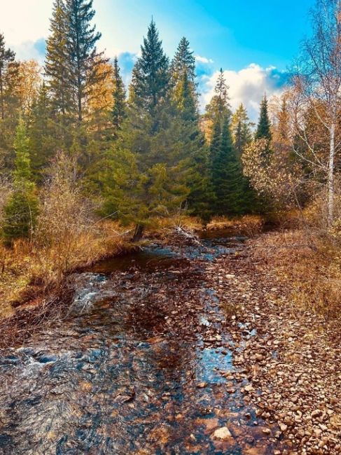 Красивый осенний Таганай 🍂 

Фото: Виктория..