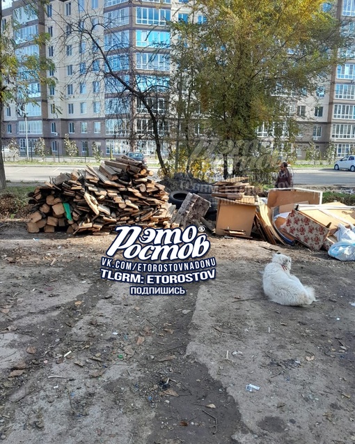 🤢 Очередная мусорная свалка. Батайск, Авиагородок, возле дома 33. Санитарные нормы не..