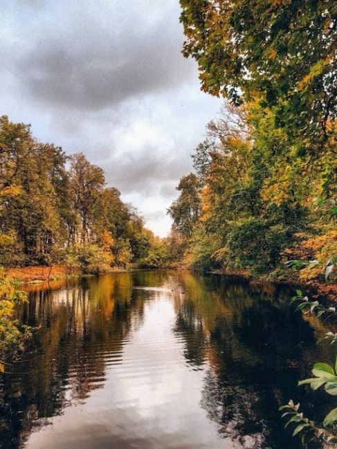 🍂Островки осени на Воробьевых..