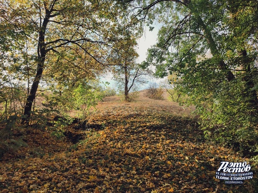 😍 Бабье лето в Ростовской..