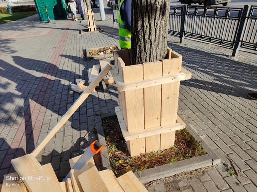 На Московском проспекте стали ограждать деревья на зиму для защиты от снегоуборочной техники

📝 Вячеслав..