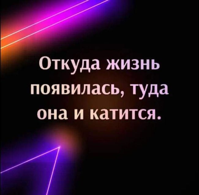 В Петербурге заметили ещё одного бесстрашного родителя на электросамокате, собравшего не одно..