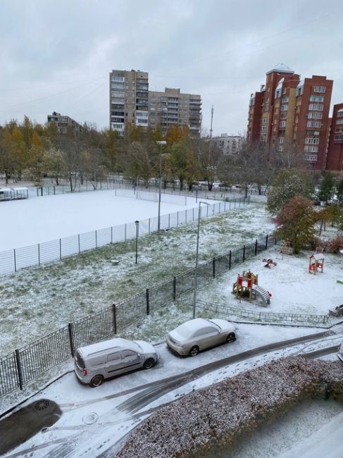 😍Ночной снегопад обрадовал петербуржцев сегодня утром..
