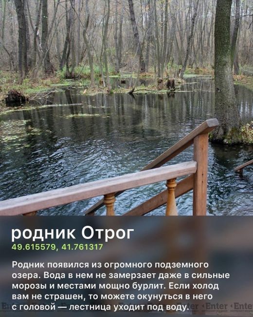 🍂 9 мест в Ростовской области для осенних..