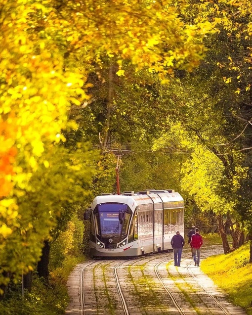 🍂Тоннель в..