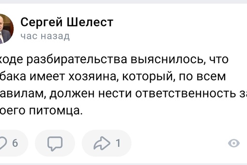 В Омске бродячая собака набросилась на ребёнка и разорвала ему лицо

Несчастный случай произошёл в..