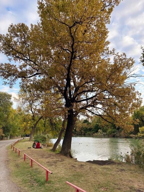 Нежная осень на Солнечном острове 🍂

от подписчицы..