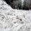 💙 Снежные пейзажи Керженского заповедника.

Кстати, если соберётесь туда в выходные, знайте, что две тропы..