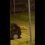 В ЖК «М-14» в Казани лиса напала на ребенка, который катался на самокате. Малыш столкнулся с лисой около..
