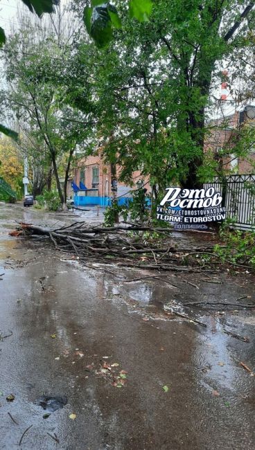 ⚠🌳 Последствия сильного ветра в Ростове. Повалило десятки деревьев, лавочки, дорожные знаки. Давно такого..