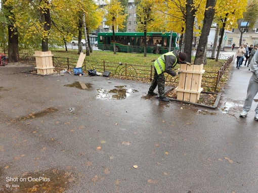 На Московском проспекте стали ограждать деревья на зиму для защиты от снегоуборочной техники

📝 Вячеслав..