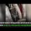 #ПостДобра

🐱В Стерлитамаке сотрудники автосервиса достали котят из-под капота автомобиля 
 
В одном из..