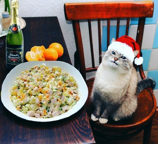🗣️  Плохие новости для любителей оливьешки — популярный новогодний салат за год подорожал на 45%.

Килограмм..