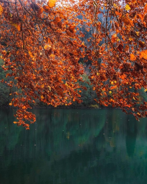 Идеальная осень на озере Рица!

В начале ноября тут идеальная атмосфера: тепло, вода в озере потрясающих..