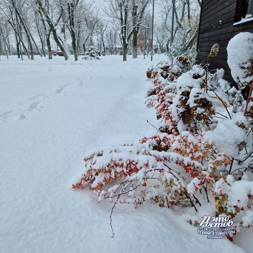 ❄ Зимняя сказка на севере Ростовской..