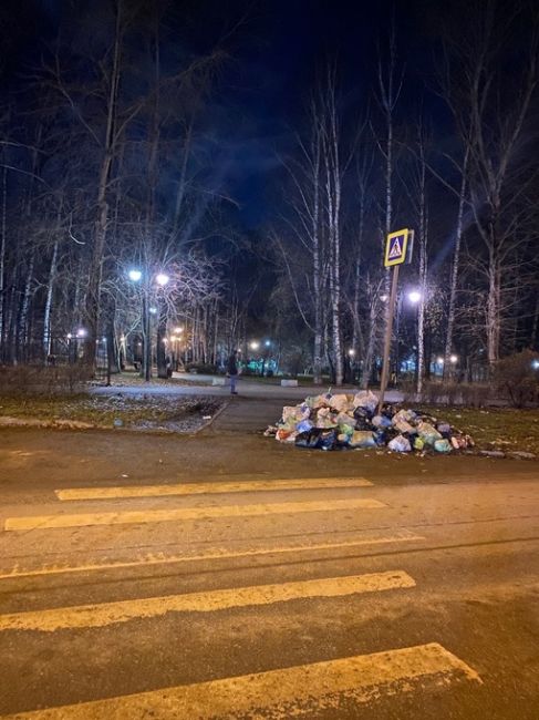 Возле сада имени Миндовского знак, видимо, поддерживает куча..