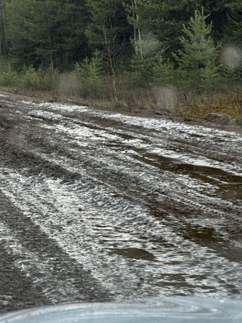 В Березниковском городском округе есть поселок Легино. Дорога в Легино в ужасном состоянии, кроме того, эта..