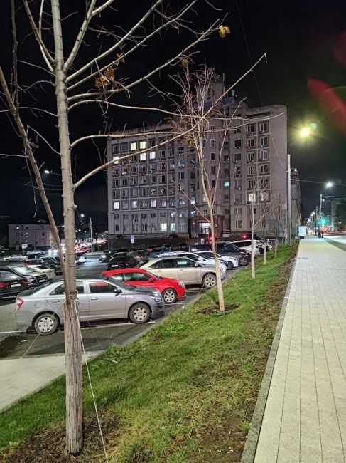 🌳📖🧐

В Нижнем Новгороде повсеместно отсутствуют приствольные круги у деревьев.

Если за плохими..