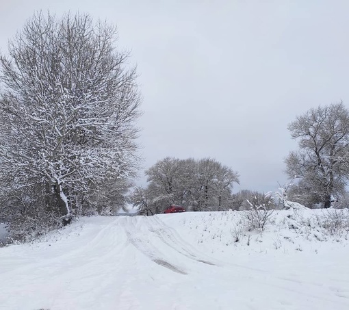 Последствия снегопада в Шолоховском районе Ростовской области, который прошел накануне вечером на севере..