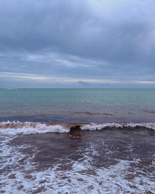 На днях море в районе Алексино приобрело красноватый оттенок 🌊

Фото..
