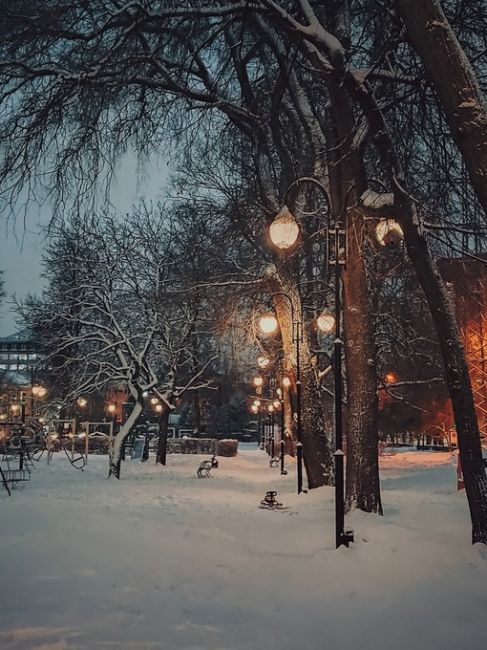 Снежный ноябрь ❄

📷Наталья..