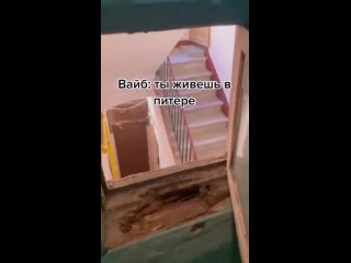 Из этого видео вы узнаете, что где-то в Петербурге есть туалет с окном в парадную. На ваш взгляд, для чего это..