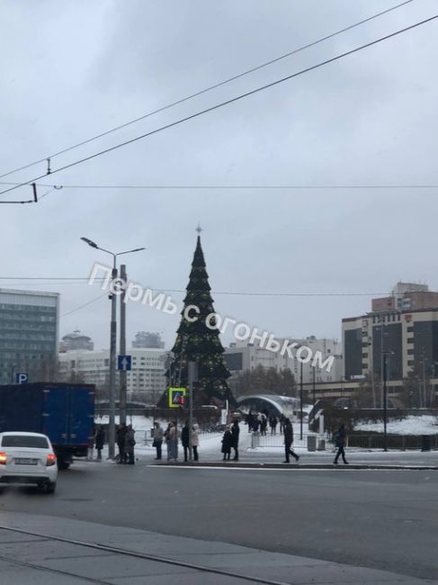 А в Перми уже красуется елочка..