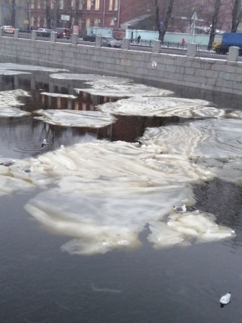 В Петербурге образовалась снежура, из-за чего реки и каналы напоминают кастрюлю с разварившимися..