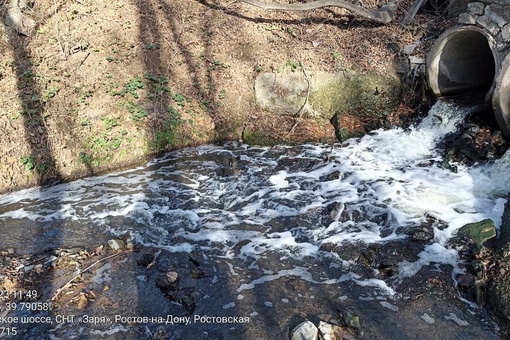 В Щепкинском лесу жители заметили, что в местном водоеме плавает какая-то пена

Они считают, что таким..