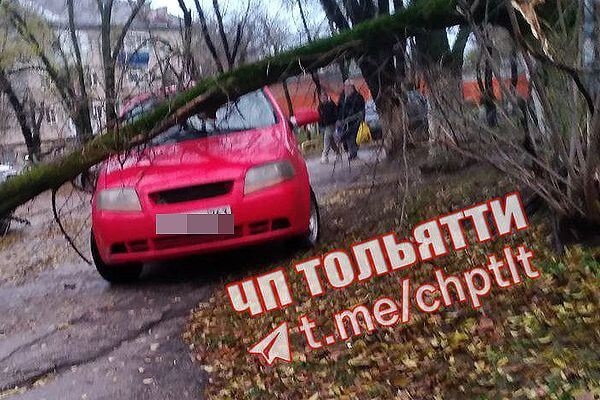 В Самаре и Тольятти утром в пятницу упавшие деревья повредили как минимум 3 автомобиля 

Произошедшее сняли..