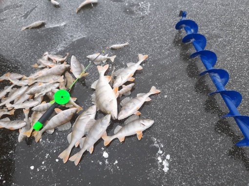 Первые рыбачки уже вышли на едва вставший и неокрепший лед.

Кажется, мы поняли, что цель зимней рыбалки в..
