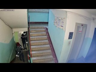 ‼Видео с камеры наблюдения из подъезда дома №4 по ул. Звонарева, где школьники принесли под дверь своей..