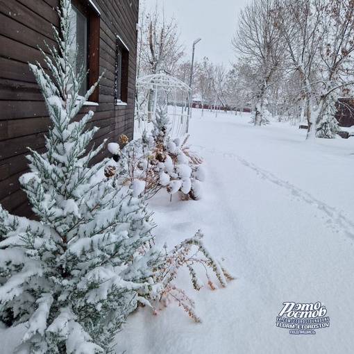 ❄ Зимняя сказка на севере Ростовской..