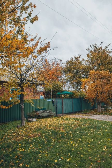 Осень в станице Манычской, Ростовская область

Фото: Артём..