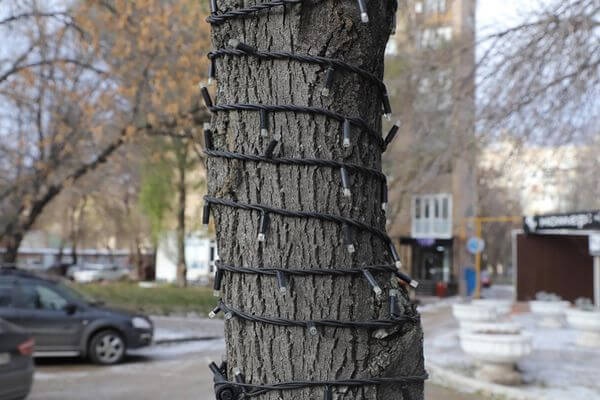 В Самаре 500 деревьев украсят гирляндами к Новому году 

Вся иллюминация будет установлена до 25 декабря 2023..