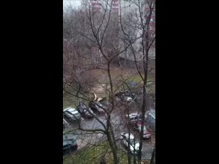 В Ховрино дерево упало прямо на парковку 

Пострадало 4 автомобиля и больше миллиарда нервных клеток их..