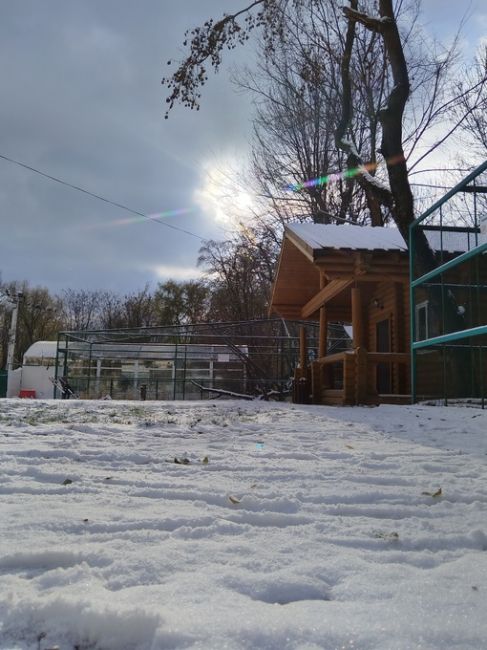 Наши читатели продолжают делиться фотоснимками утреннего снега в Ростове..
