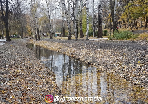 Синоптики paccкaзaли, будeт ли paбочaя неделя в Βoрoнеже дождливой..