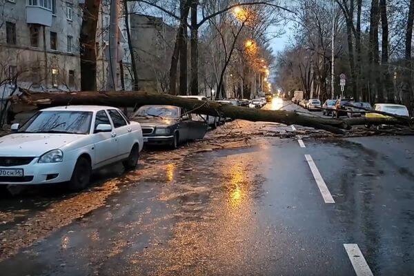 В Самаре и Тольятти утром в пятницу упавшие деревья повредили как минимум 3 автомобиля 

Произошедшее сняли..