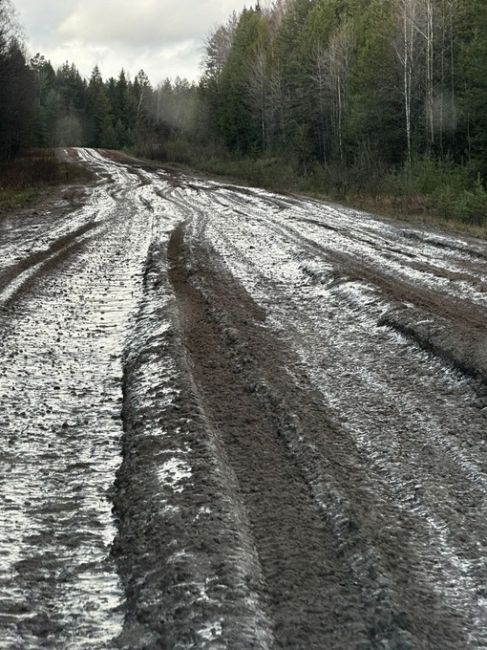 В Березниковском городском округе есть поселок Легино. Дорога в Легино в ужасном состоянии, кроме того, эта..