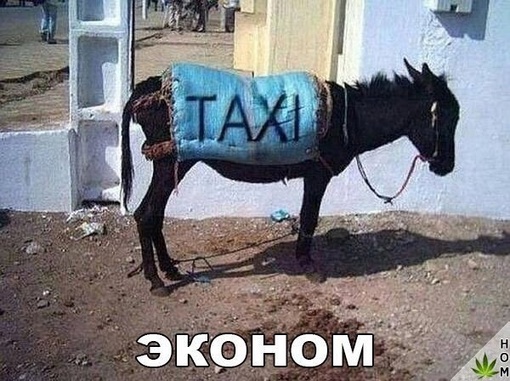 В Сокольниках таксист выехал под кирпич и «встал на..