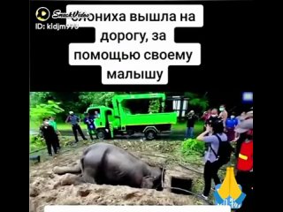 Мошенники стали обманывать омичей под видом сотрудников Следственного комитета

Об этом рассказали в..