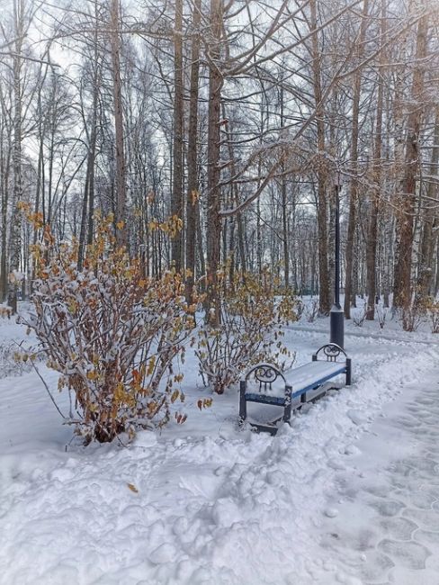 В городском парке г. Городца💙
 
фото: Татьяна..